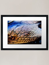 Frozen Wing Framed Art Print