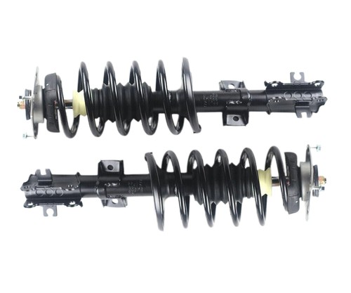 Front complete struts - ,