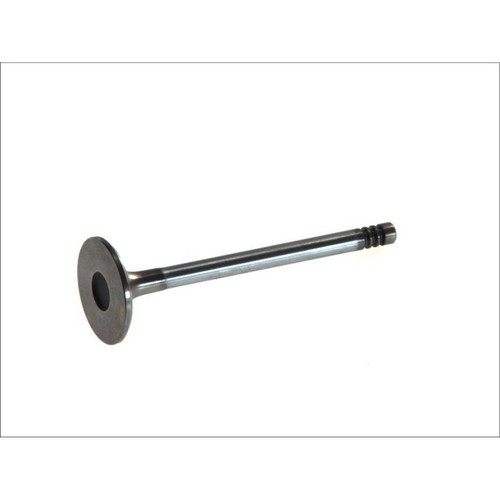 Intake valve fits ford - intake,