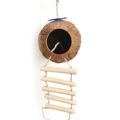 Coconut shells for birds - coconut,