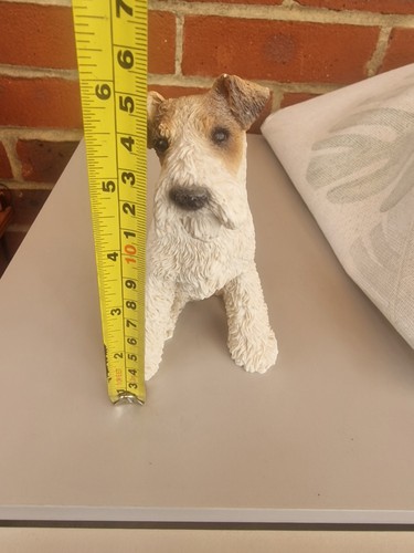 This wire haired fox - this,