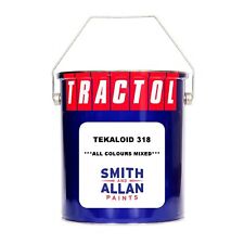 Tekaloid Coach Enamel Paint