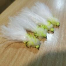 Eggstacy Cats Whisker trout