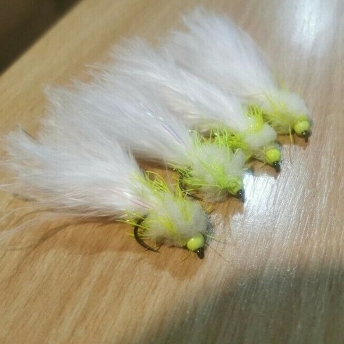 Eggstacy cats whisker - eggstacy,