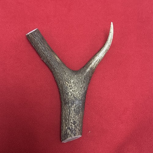 One piece deer antler - piece,