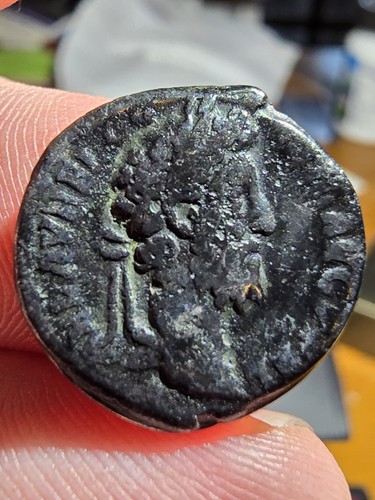 Commodus denarius - commodus,