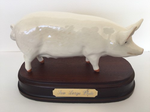 Bestwick wallboy pig 53 - bestwick,