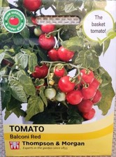 The basket Tomato 'BALCONI