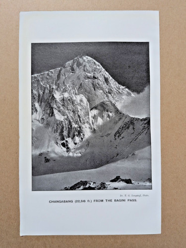 Changabang mountain india - changabang,
