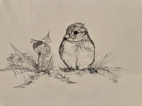 Vintage wildlife print - vintage,