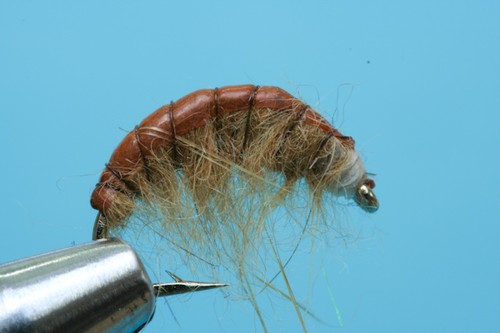 Fliegentom nymph pieces scud - 3,