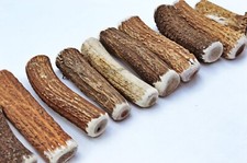 Scottish Stag Horn Antler Dog Chew Naturally Shed Sustainable Dog Antler - SMALL