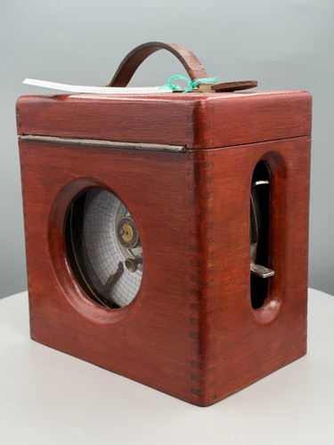 Vintage pigeon racing - pigeon,