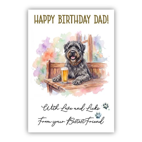 Bouvier des flandres - bouvier, birthday