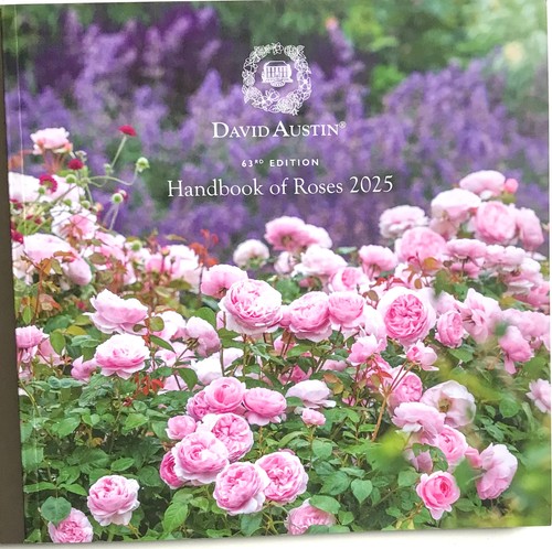David austin handbook roses - david,