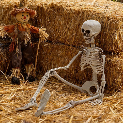 160cm halloween real life - ,