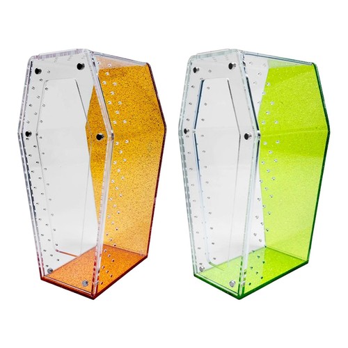 Jumping spider enclosure - jumping,