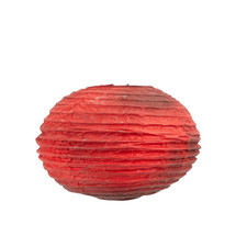 Survivor : Edge Of Extinction