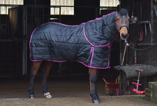 Stable Rug 200G Detachable