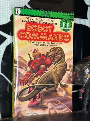 Fighting fantasy robot - fantasy,