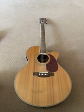 Freshman electro acoustic