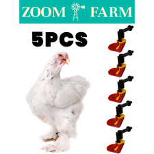 5x Automatic Chicken Waterer Cups – Poultry Drinking Bowl Kit for Hens & Ducks