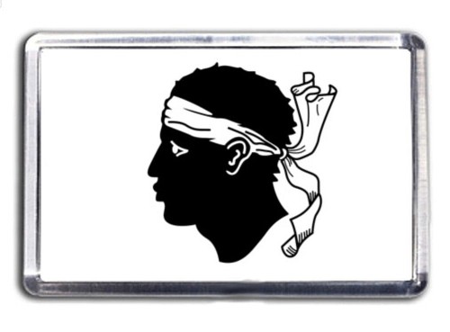 Corsica corse flag fridge - corse,