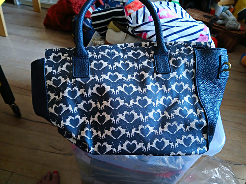 Navy white joules - &, dog
