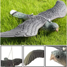 3D Fake Falcon Hawk Bird