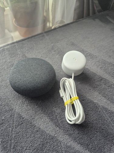 Google nest mini speaker 1st - google,