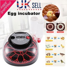 Digital 12-Egg Incubator