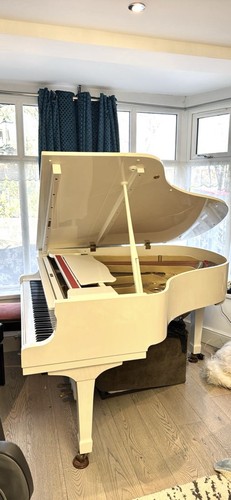 Beautiful yamaha grand - yamaha,