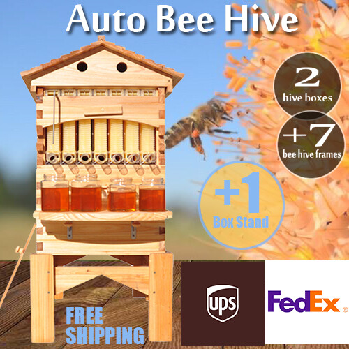 Beewaxed 1 automatic - 3, in