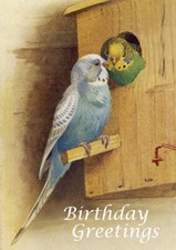 HAPPY BIRTHDAY GREETINGS CARD