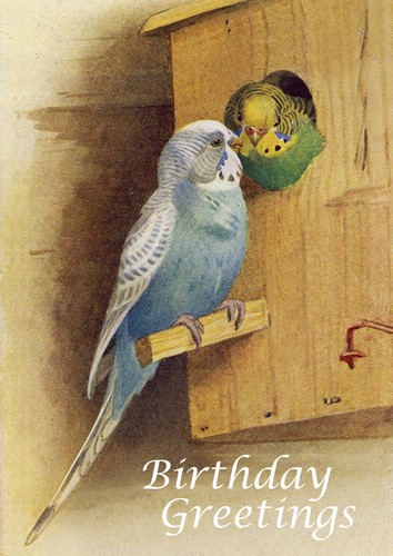 Happy birthday greetings - birthday,
