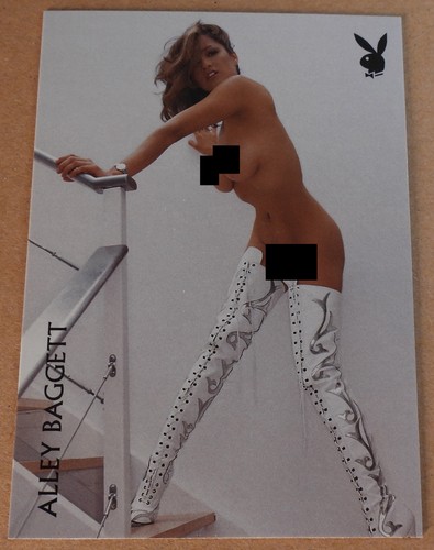 2005 playboy lingerie 100th 9 - playboy,