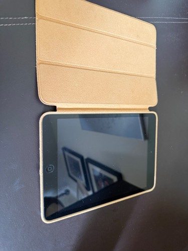 Apple ipad mini 16gb - apple, 2