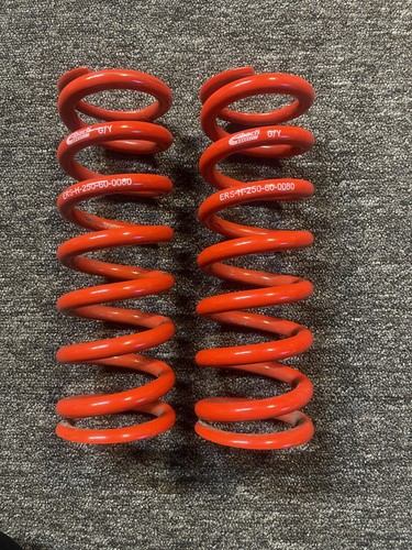 Eibach race springs - race,