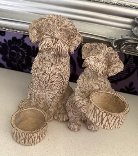 Next charlie the - the, cockapoo
