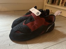 Unparalleled Flagship Climbing