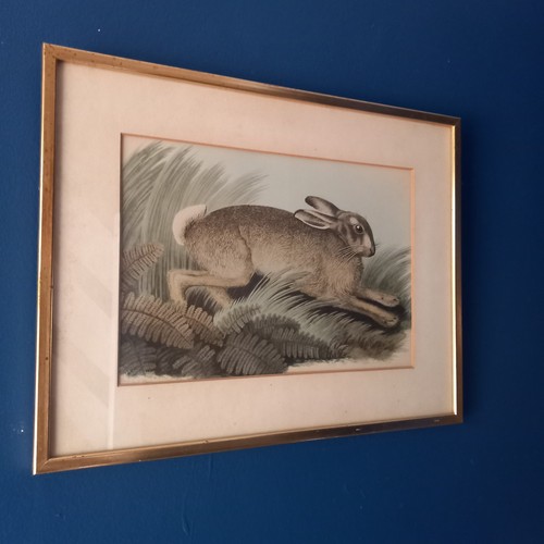 Vintage samuel howitt print - vintage,