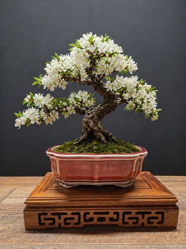 Handmade red glaze bonsai pot