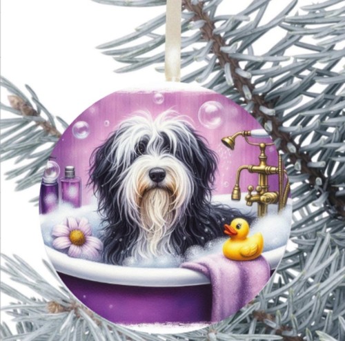 Bearded collie dog hanging - bearded,