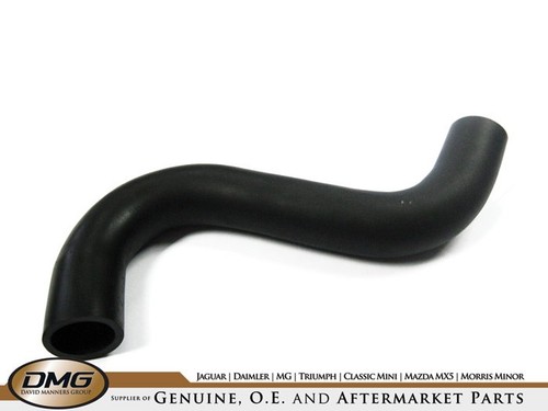 Top hose mgb v8 - top,