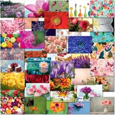 Doodlecards Pack of 40 Mixed