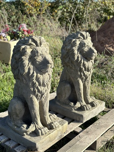 Pair large proud - lions, heavy