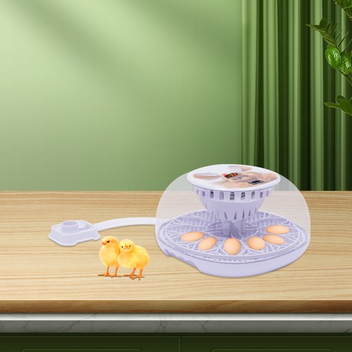 Digital eggs incubator - digital, 12