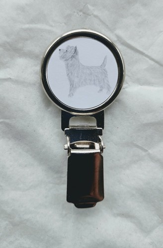 Cairn terrier dog - terrier, ring