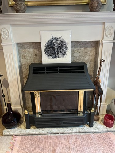 Cannon coalridge balanced flue - coalridge,