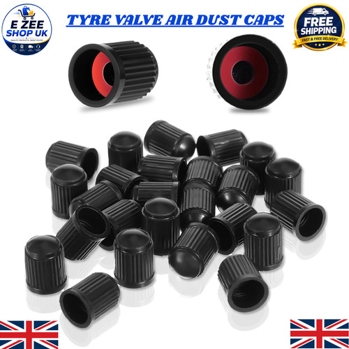 100x dust air - valve, caps